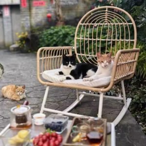 Fauteuil en rotin dossier de tortue | TORA