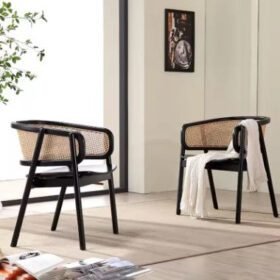 Fauteuil rotin moderne | MODI