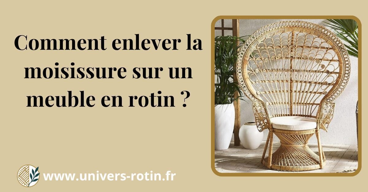 Comment enlever la moisissure sur un meuble en rotin ? 1 Bloc 65 Titre Artices
