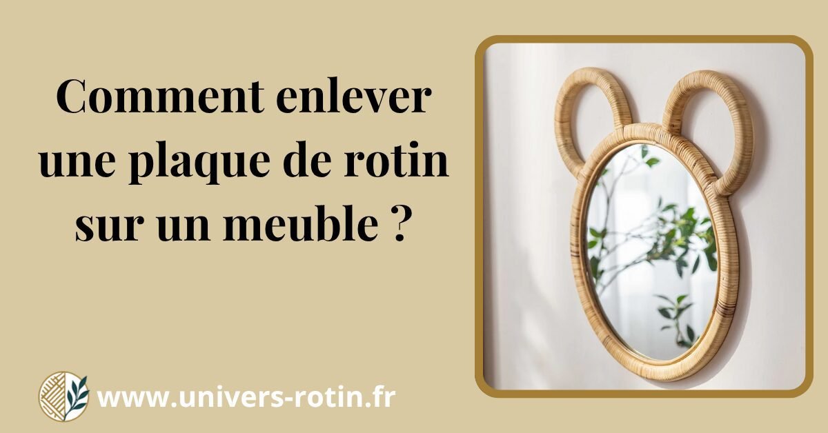 Comment enlever une plaque de rotin sur un meuble ? 1 Bloc 66 Titre Artices