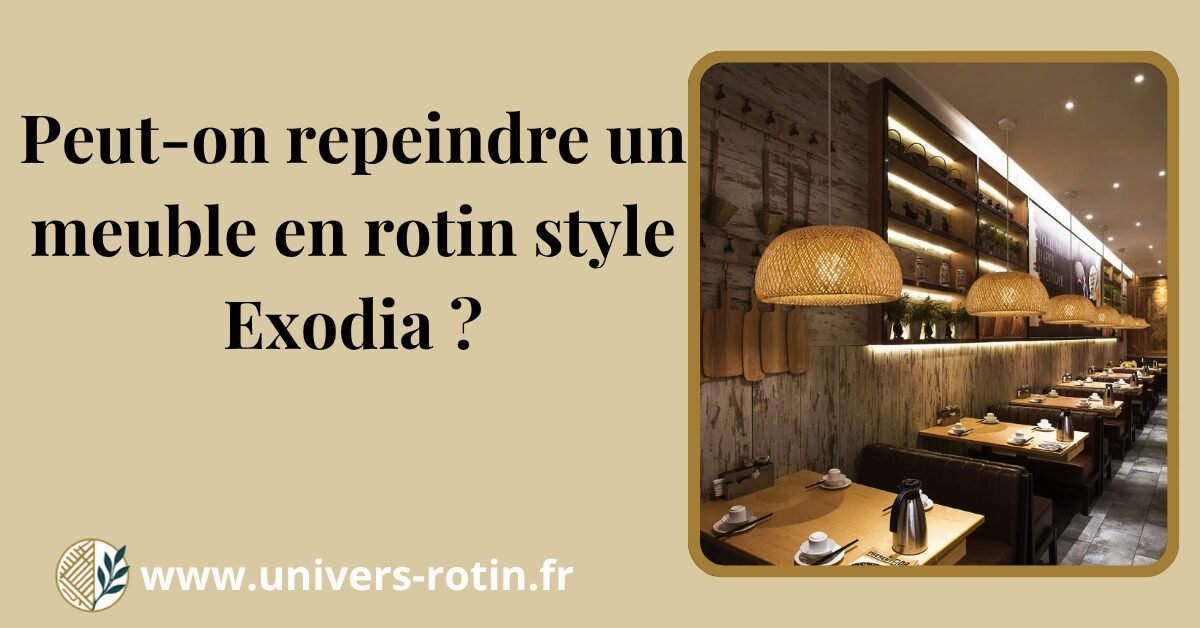 Peut-on repeindre un meuble en rotin style Exodia ? 1 Bloc 88 Titre Artices
