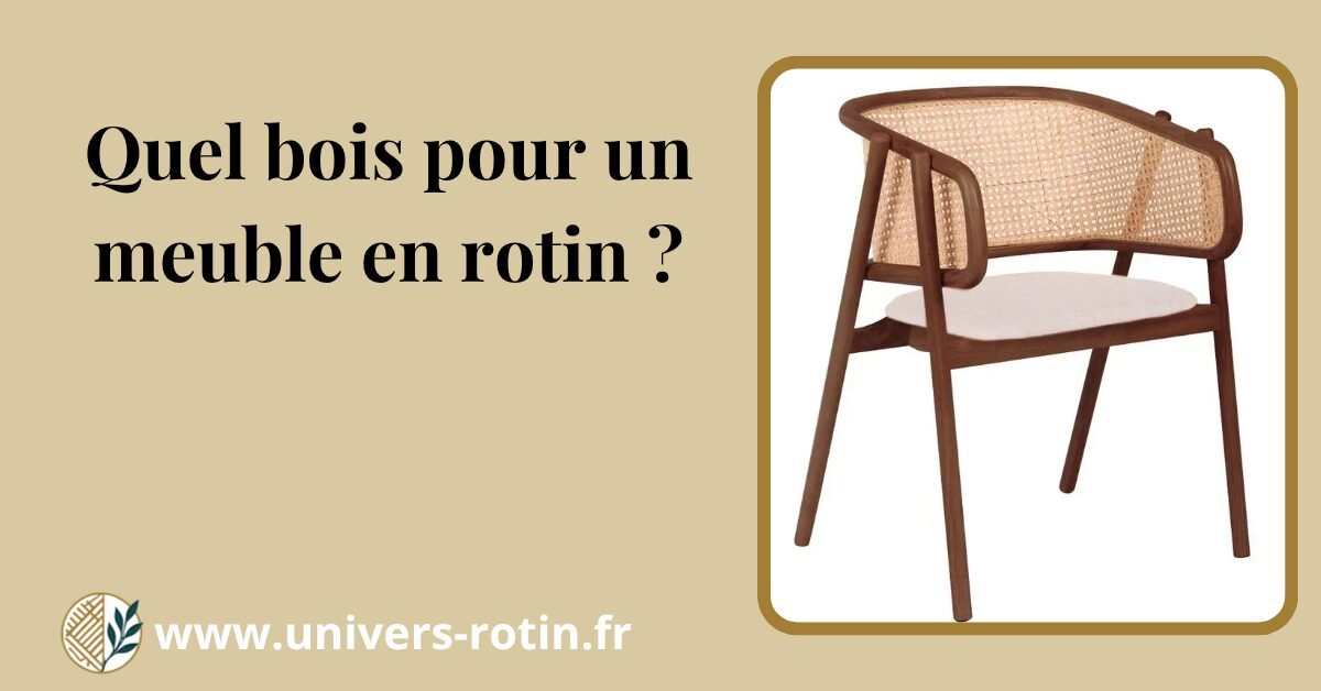 Quel style pour les meubles en rotin anciens ? 1 Bloc 92 Titre Artices