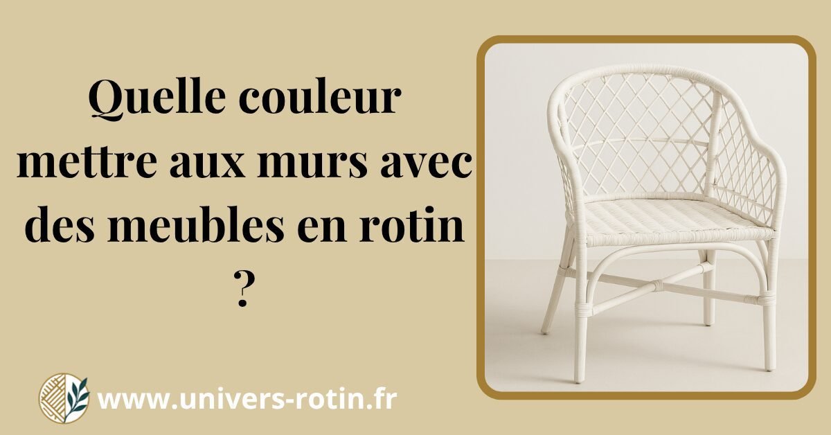 Quelle couleur murale avec un meuble en rotin ? 1 Bloc 95 Titre Artices