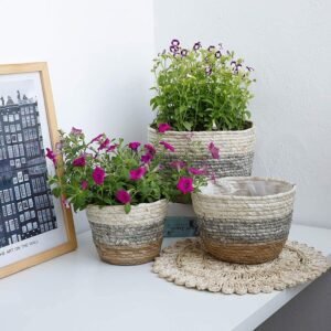 Cache Pot Pour Fleurs En Rotin Tressé Naturel Décoratif