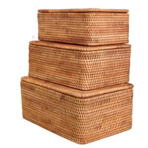 Coffre À Jouets En Rotin Naturel Avec Couvercle De Rangement 7 Coffre À Jouets En Rotin Naturel Avec Couvercle De Rangement