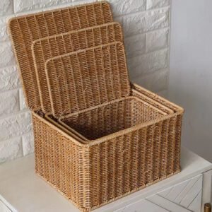 Malle De Rangement En Rotin Naturel Tressé 11 Malle En Rotin Naturel Tisse 4.jpg